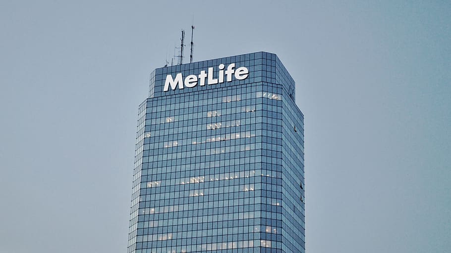 Metlife Insurance