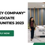 mckinsey company,