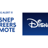 disney careers remote